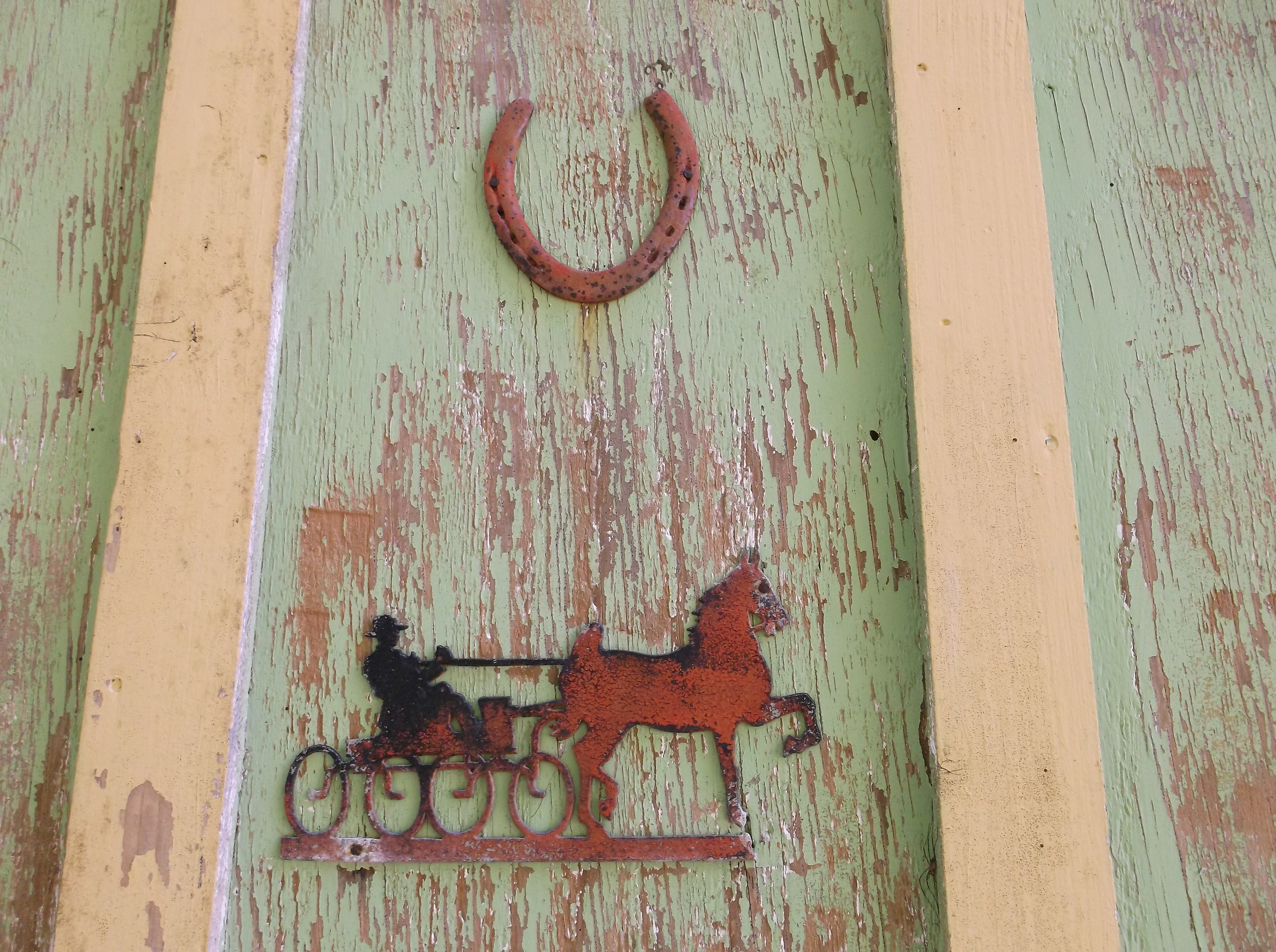 "Horse property," central Oregon coast style!