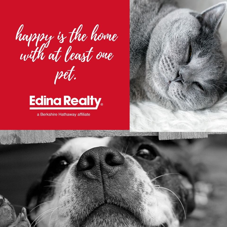 Every house needs a pet