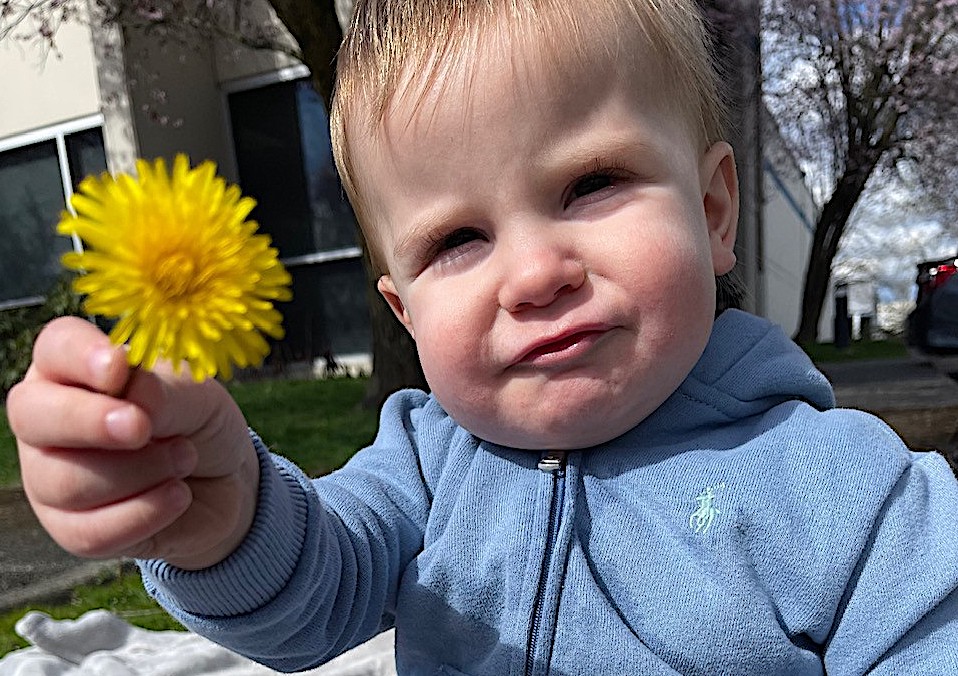 Make a Wish Flowers for Mom
