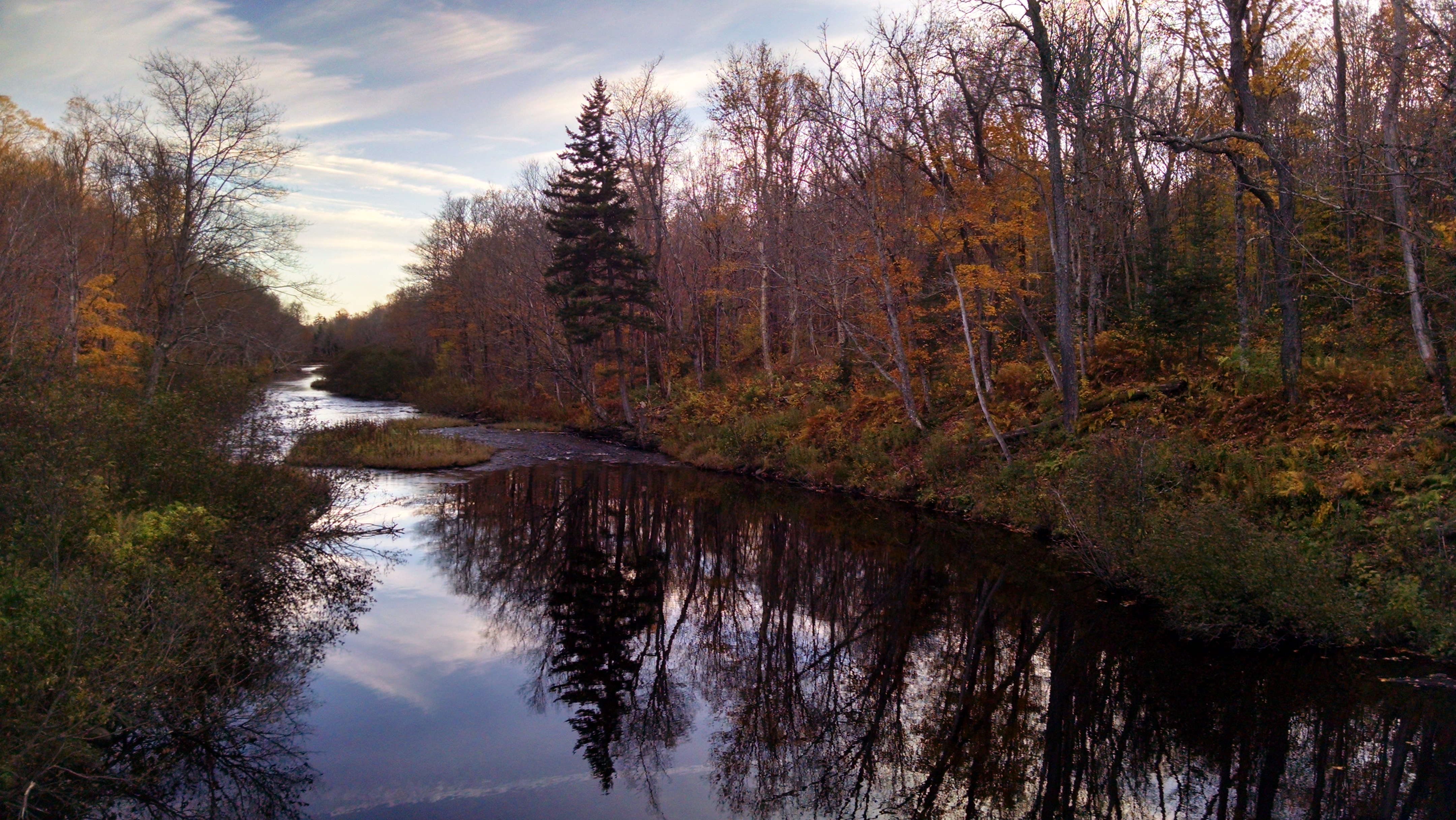 HUNTING & TIMBER LAND WANTED! IOWA COUNTY FOREST LAND