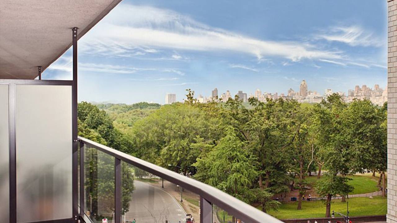 CentralPArk.jpg