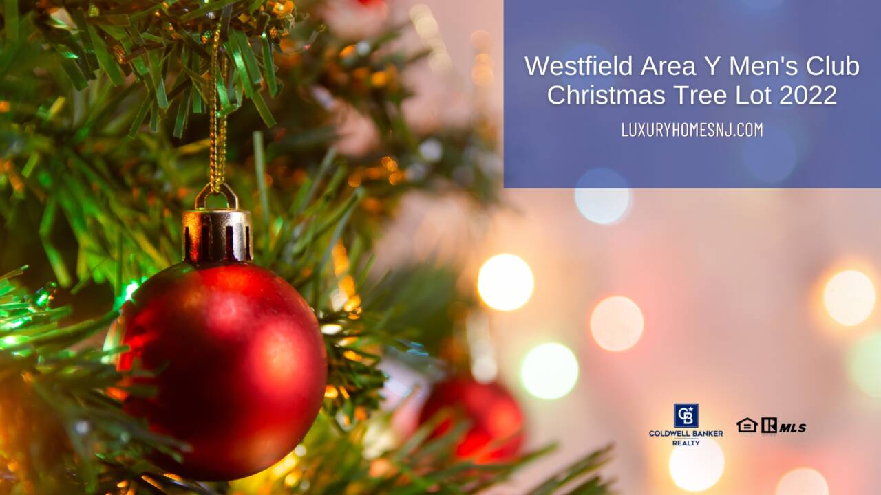 Westfield_Area_Y_Mens_Club_Christmas_Tree_Lot_2022_lg.png