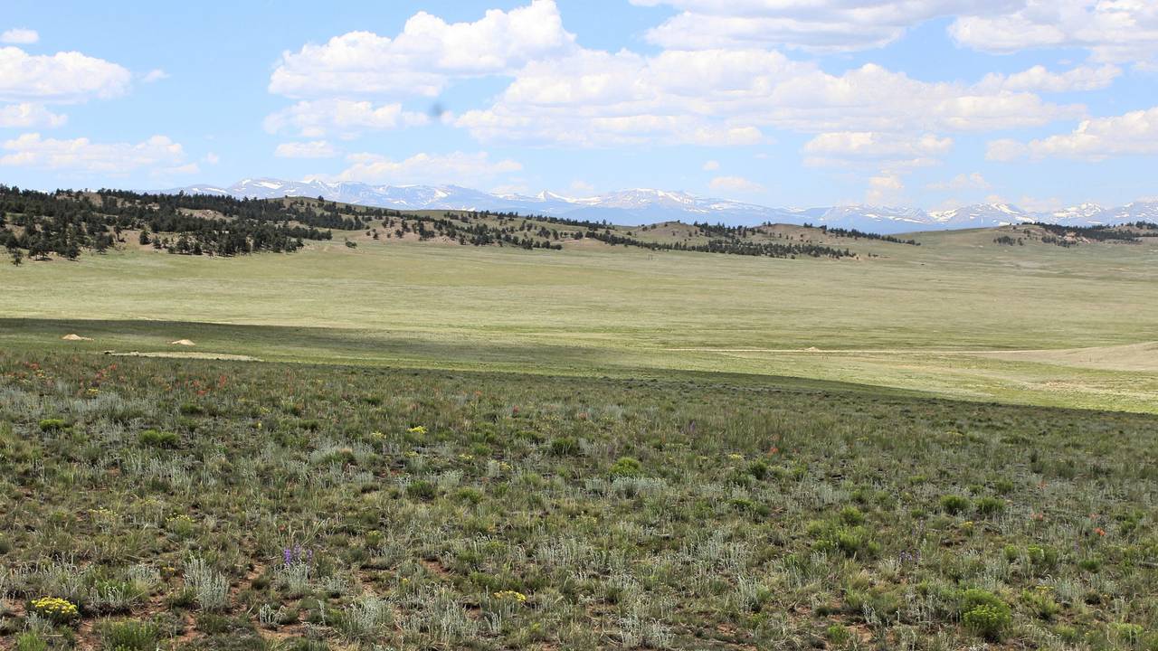 TBD_L5761_Coyotero_Trail_-_1.jpg