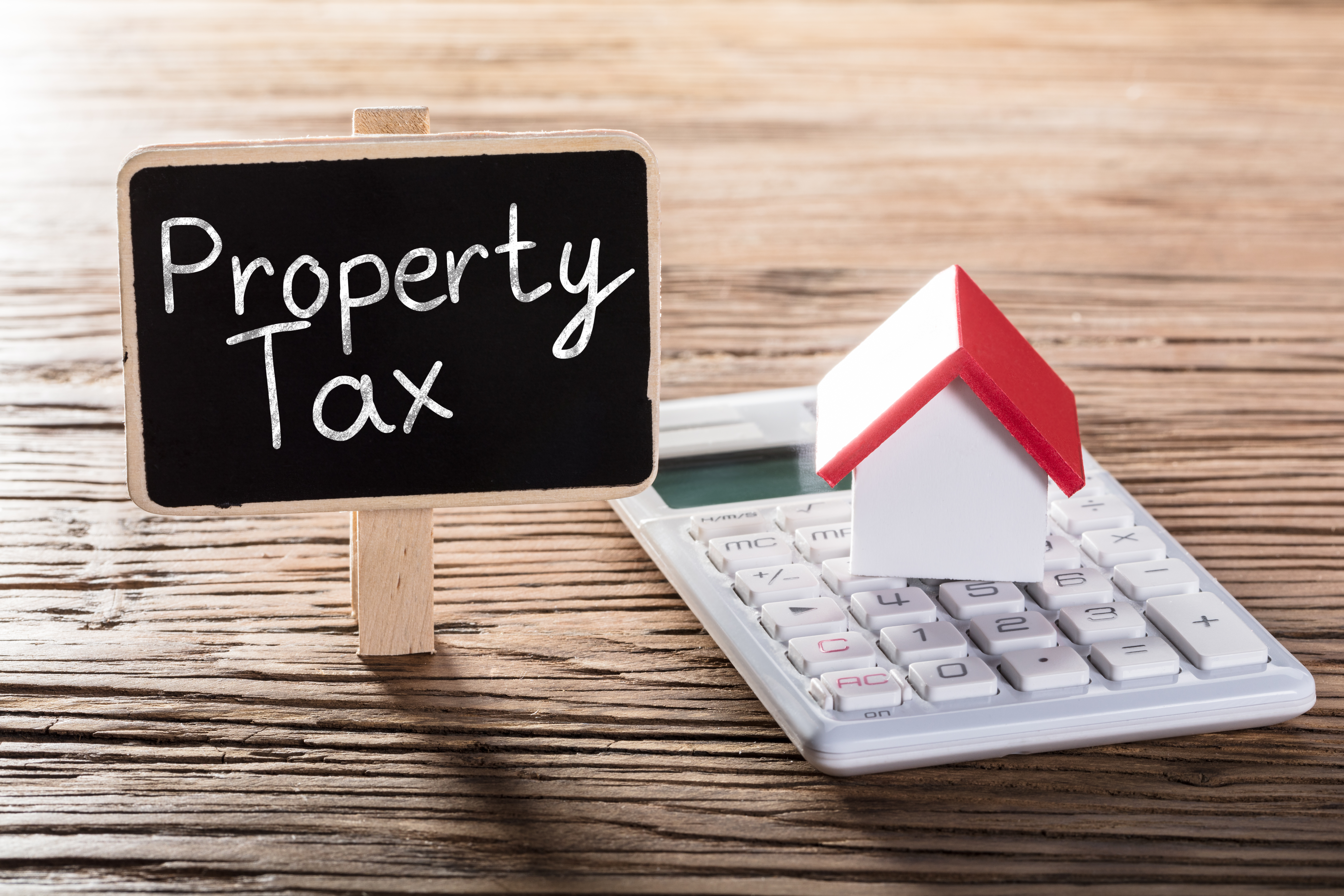 Canva_-_Showing_Property_Tax_Concept.jpg