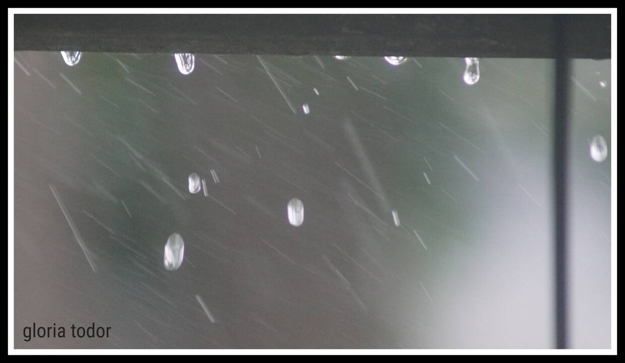 rain_drops.jpg