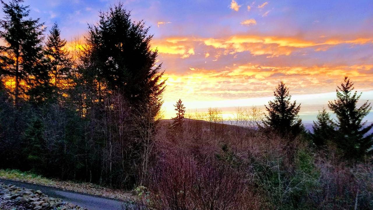 NOVICKS_SUNSET.1.jpg