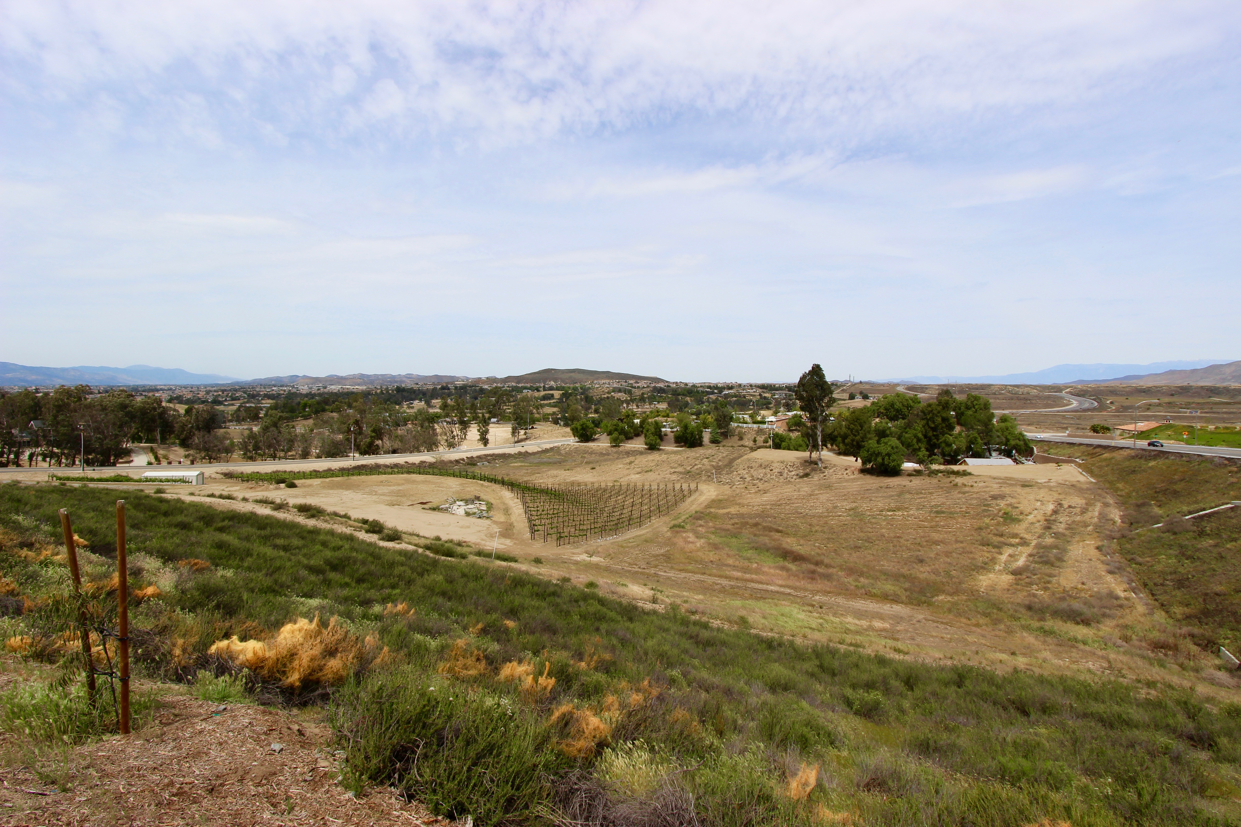 The Vineyard by Van Daele Temecula Homes For Sale