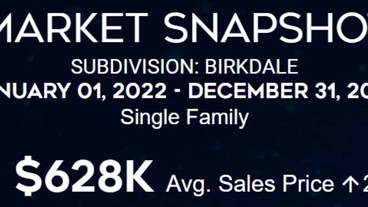 Birkdale_2022_Home_Sales_Snapshot_Banner.jpg