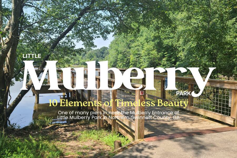 Little_Mulberry_Park.png