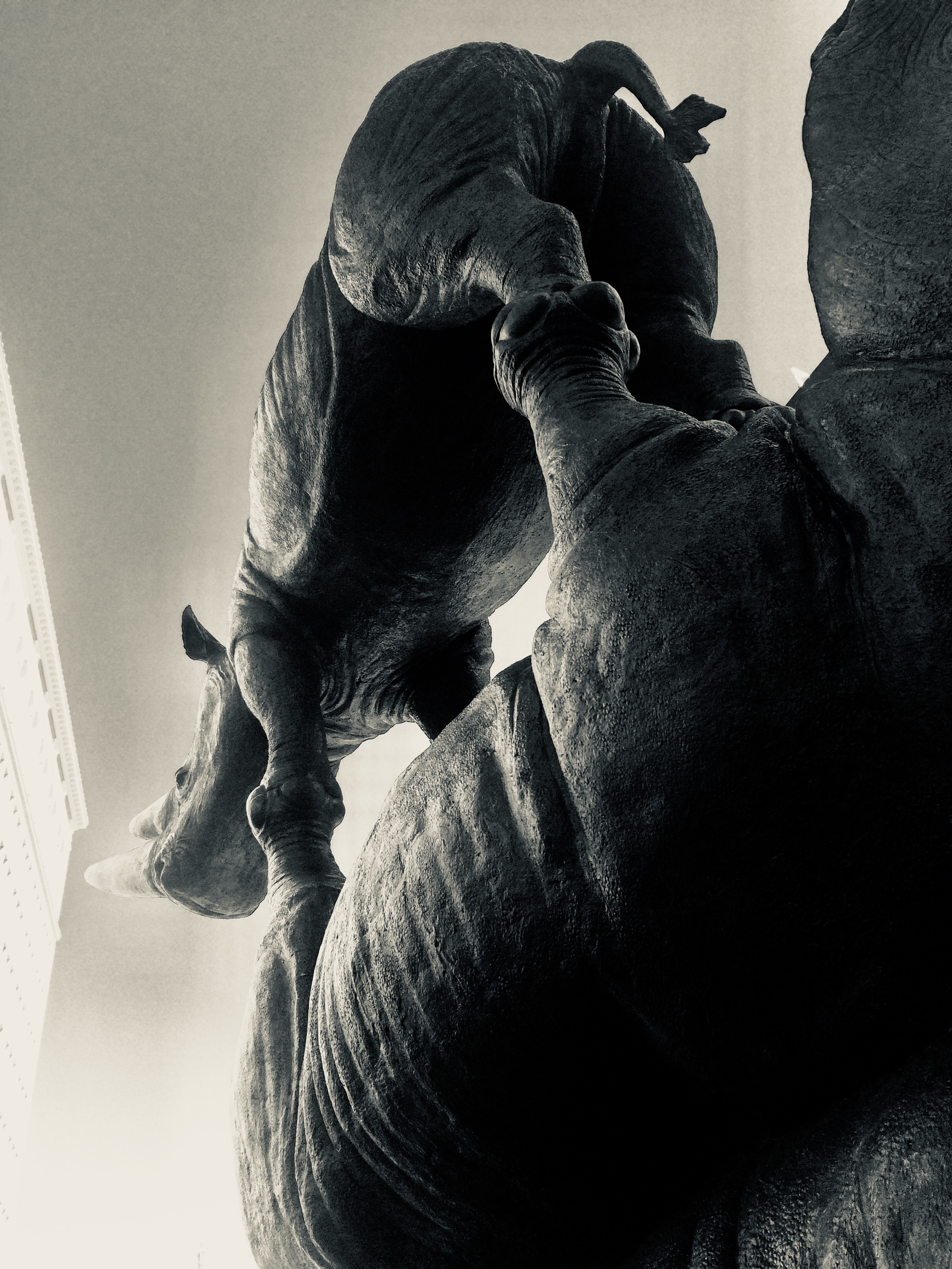 Rhino Statue Installed At Astor Place in New York City