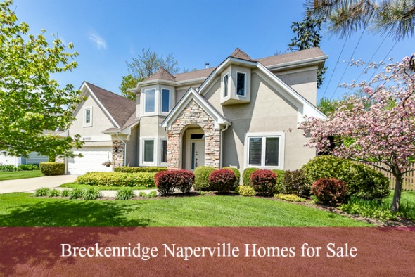 foreclosed homes in naperville