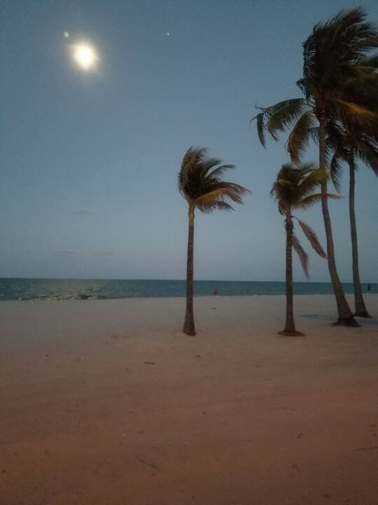 moon_over_hollywood_beach.jpg