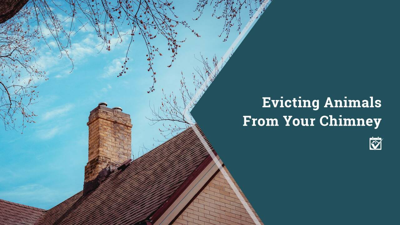 chimney-1536x864.jpg