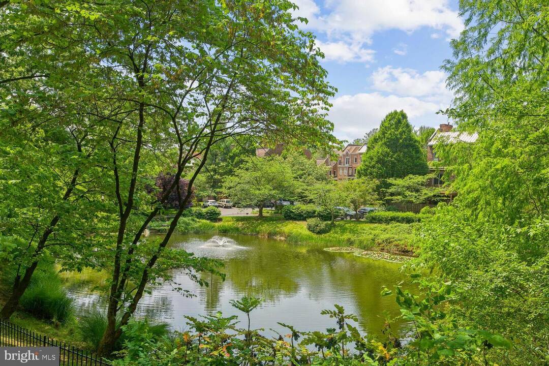 duckpond_hillandale.jpg
