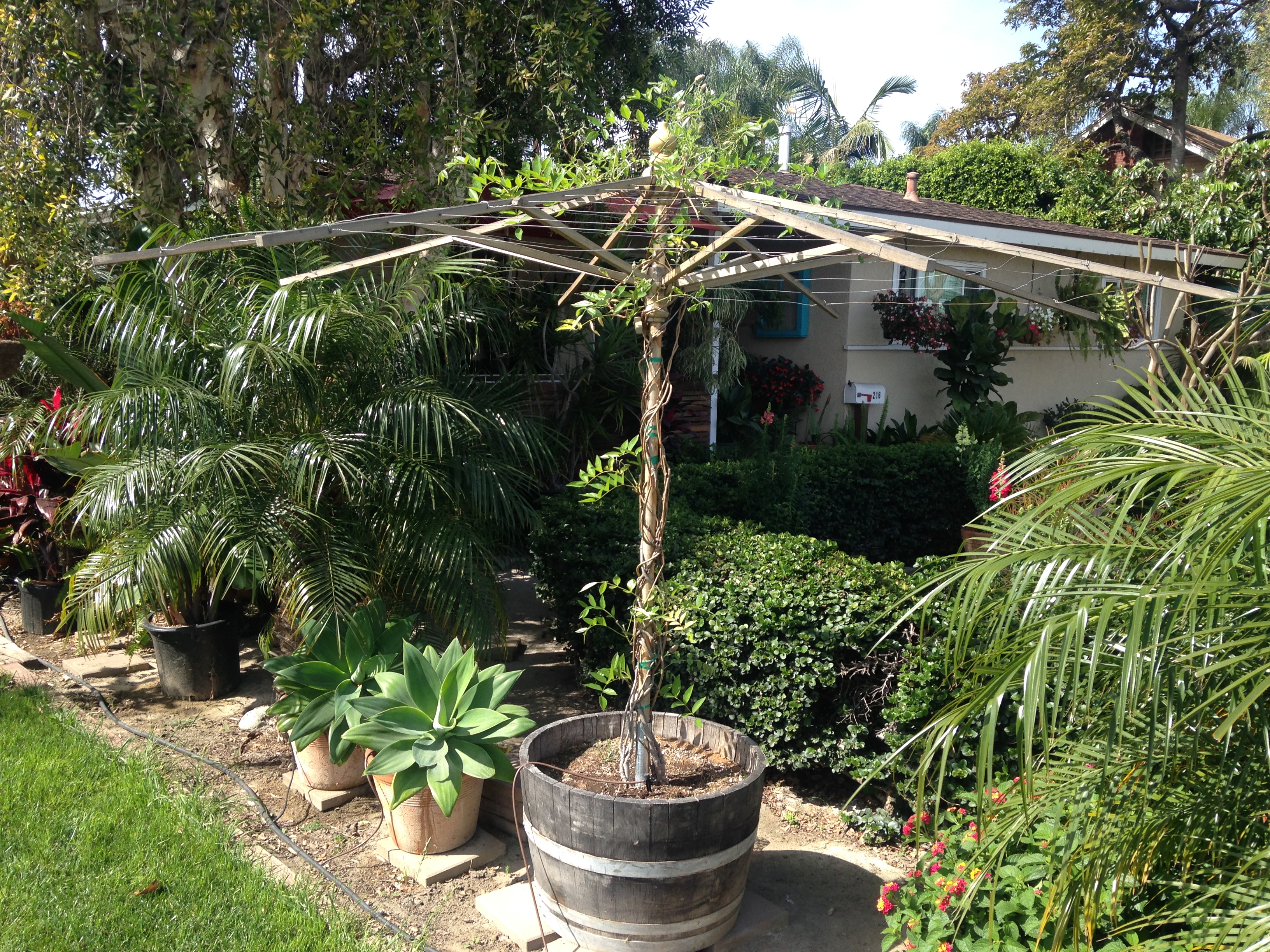 Clever Use for an Old Umbrella