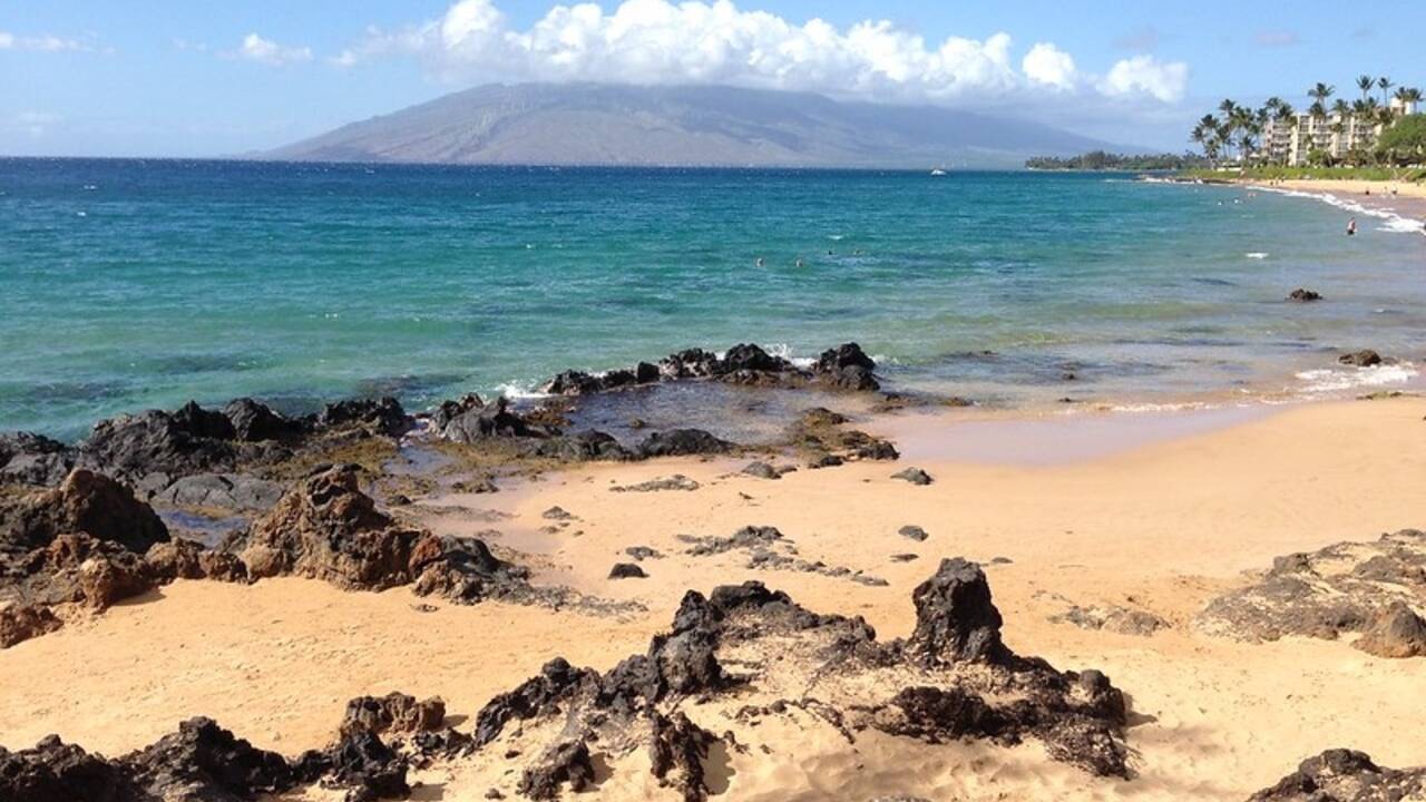 beachfront_life_Maui.jpg