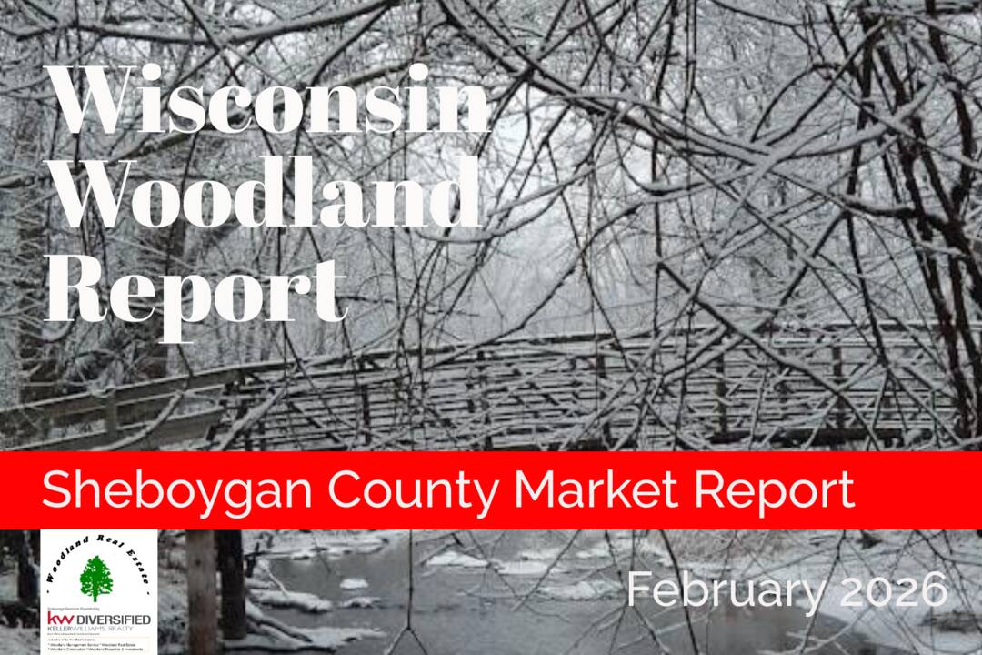 Sheboygan_02-2026_Woodland-Reports-1800x1200-layout1775-1ko72hs.png