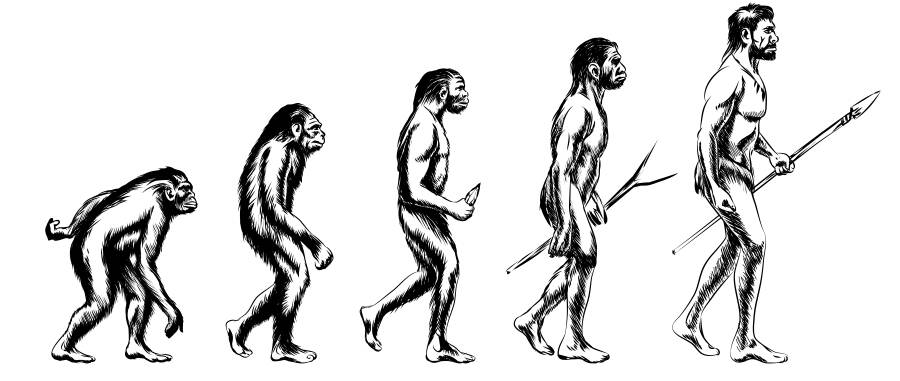 The Evolution Of MY Business Career.