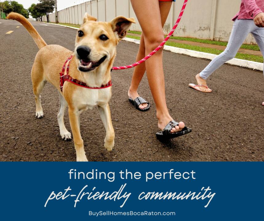 Finding_the_Perfect_Pet-Friendly_Neighborhood_in_Boca_Raton.png