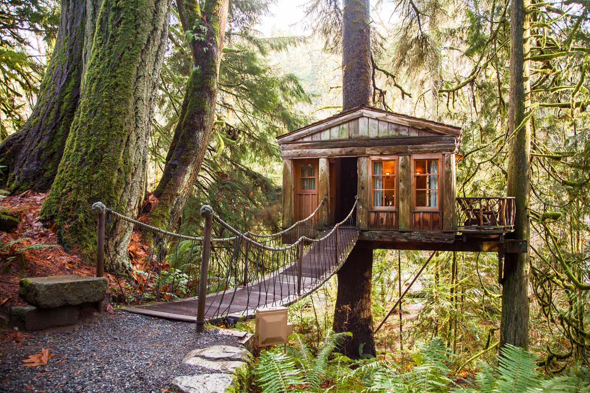 Домик на дереве. Дом на деревьях Шотландия климанрюк. Отель на дереве США штат Вашингтон. 9. Treehouse point, Иссакуа, штат Вашингтон, США. Алникский дом на дереве.