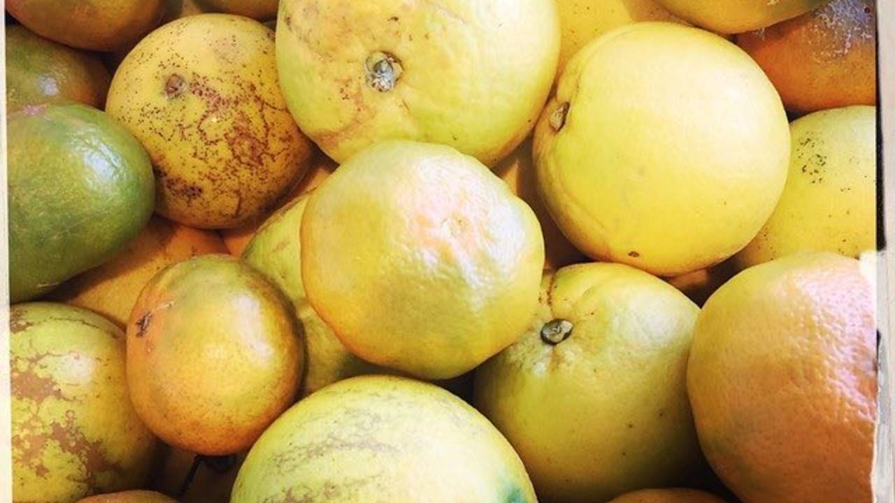 citrus_fruits.jpg