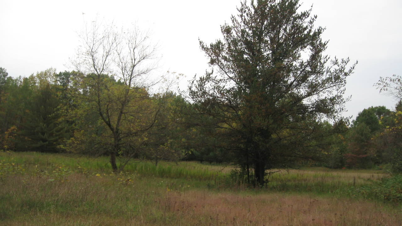 IMG_5114.JPG
