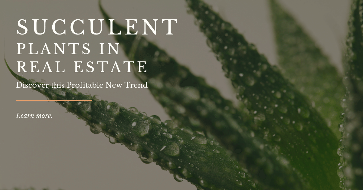 Succulent Plants in Real Estate Discover this Trend