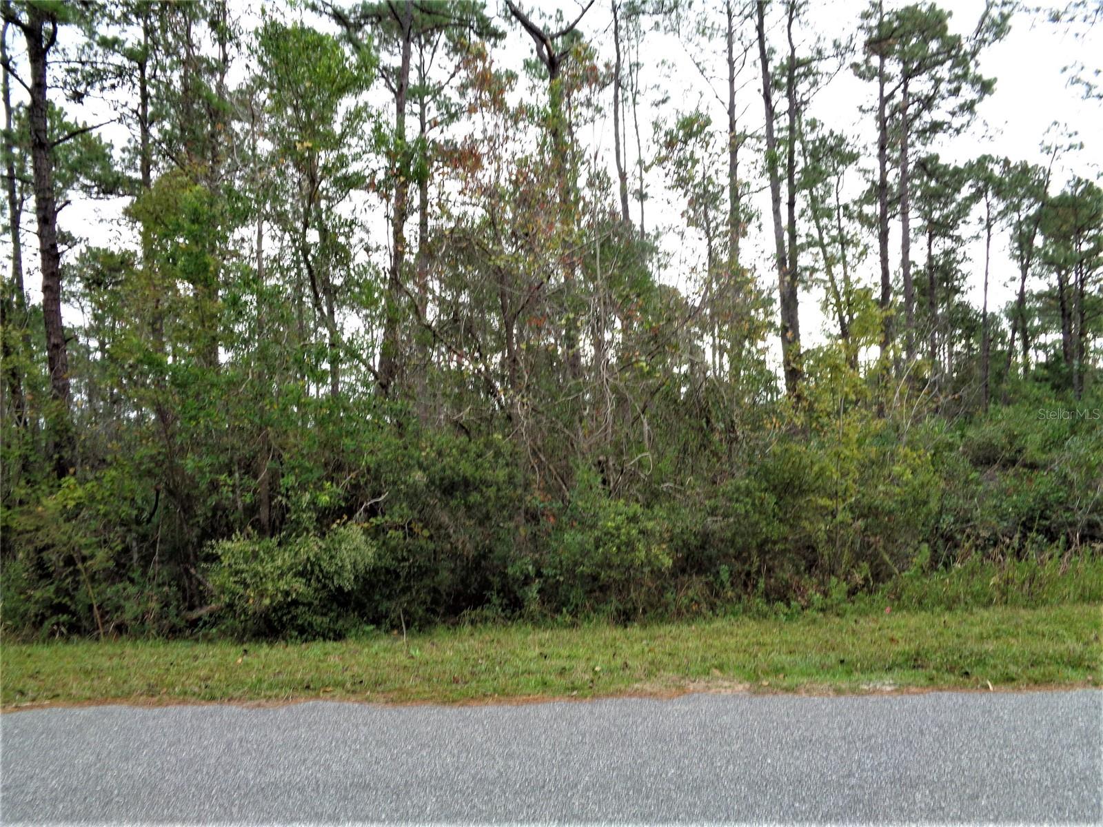 Beautiful 1 acre lot is located in Royal Trails Lake Co