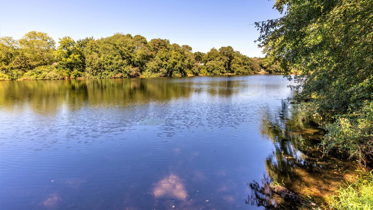 Longtree Pond Community, Eastport, NY