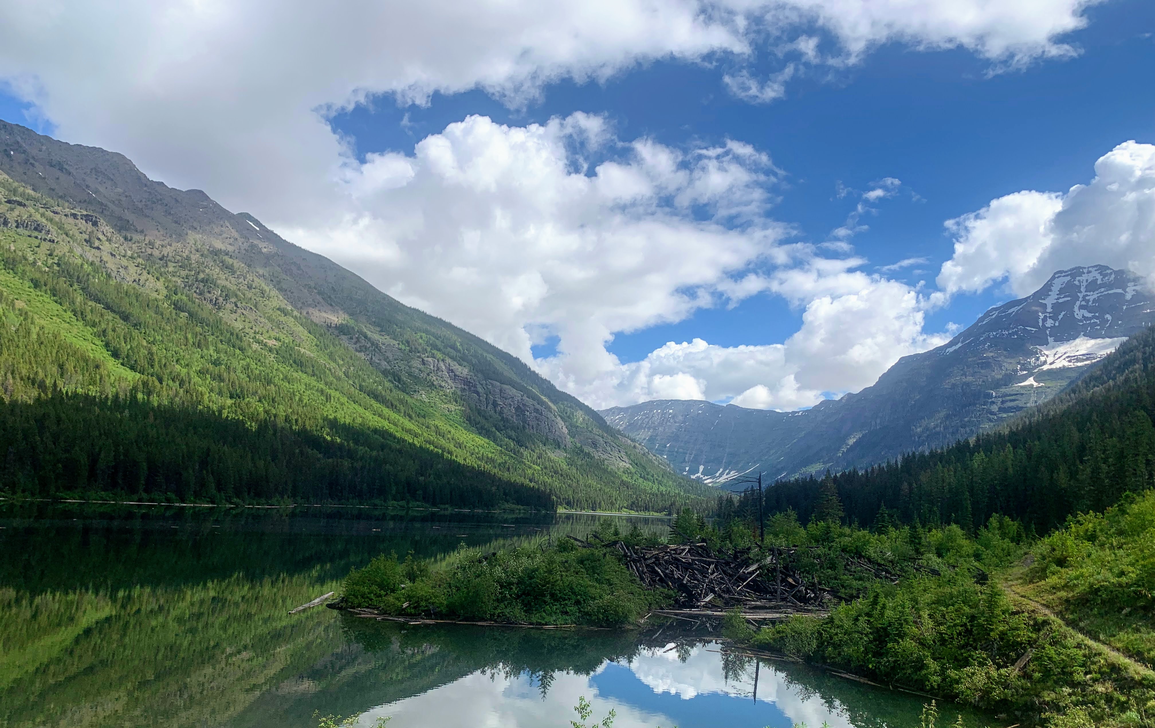 Hiking to Trout Lake Glacier National Park