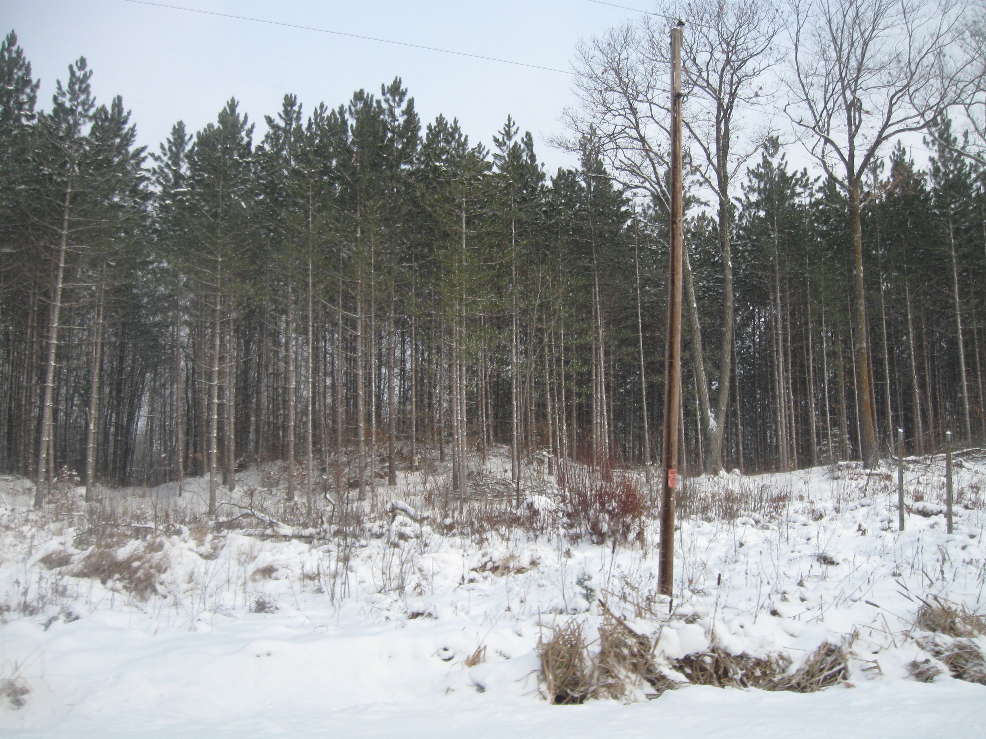 AVAILABLE MARKET REPORT Langlade County Forestland; H