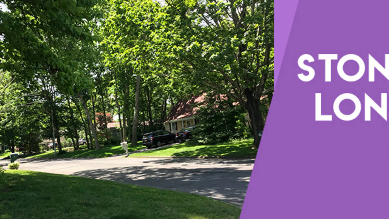 stony_brook_long_island_banner.jpg
