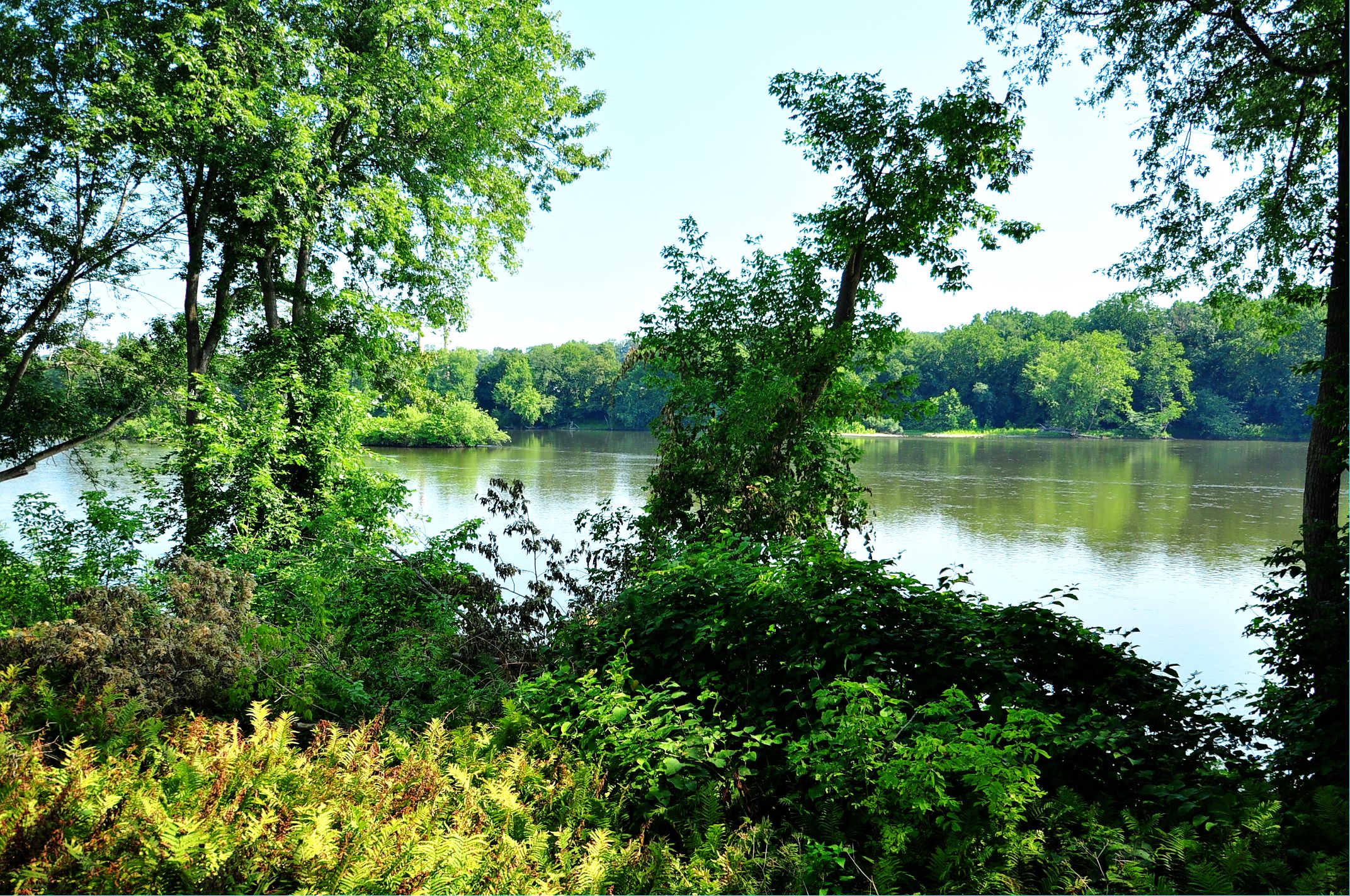Waterfront Property in Scenic Bucks County