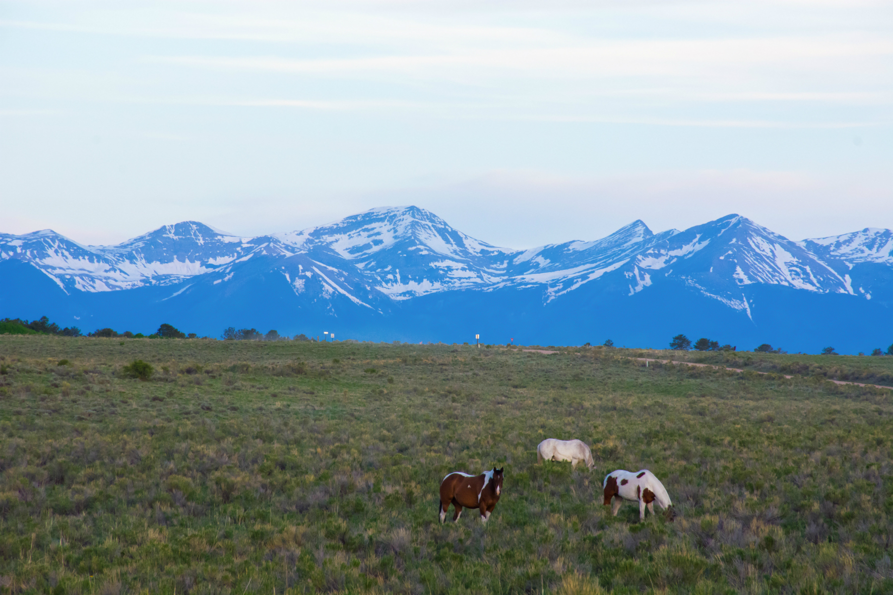 Westcliffe Colorado Horse Property for Sale