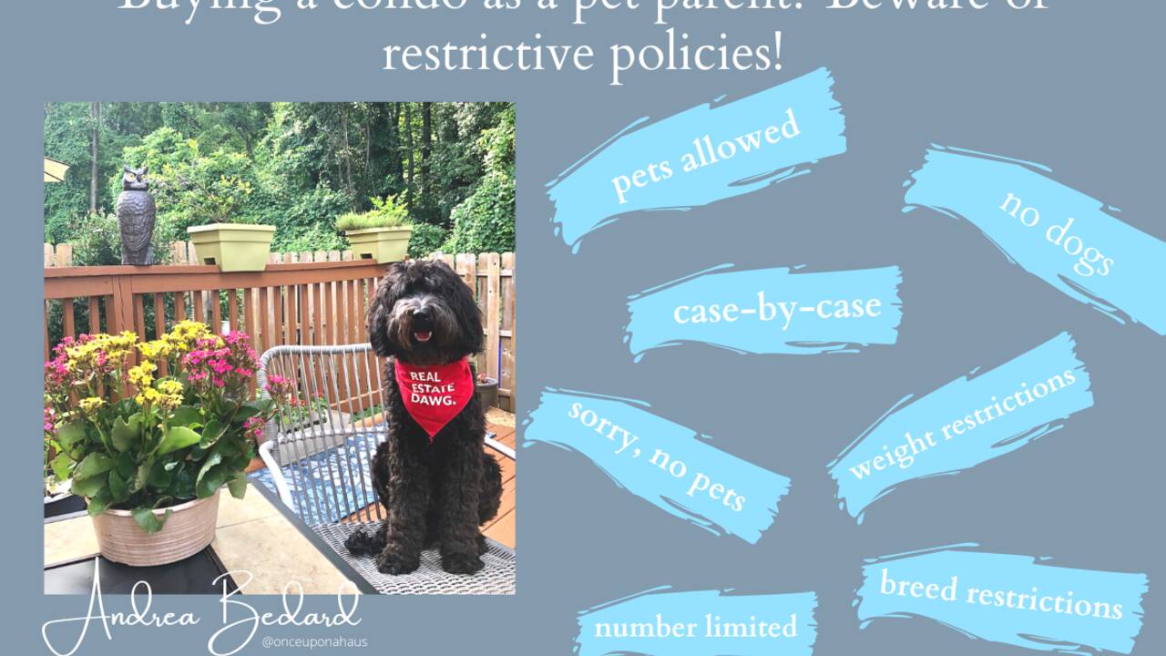 Beware_of_restrictive_pet_policies_when_buying_a_condo_in_Maryland.png