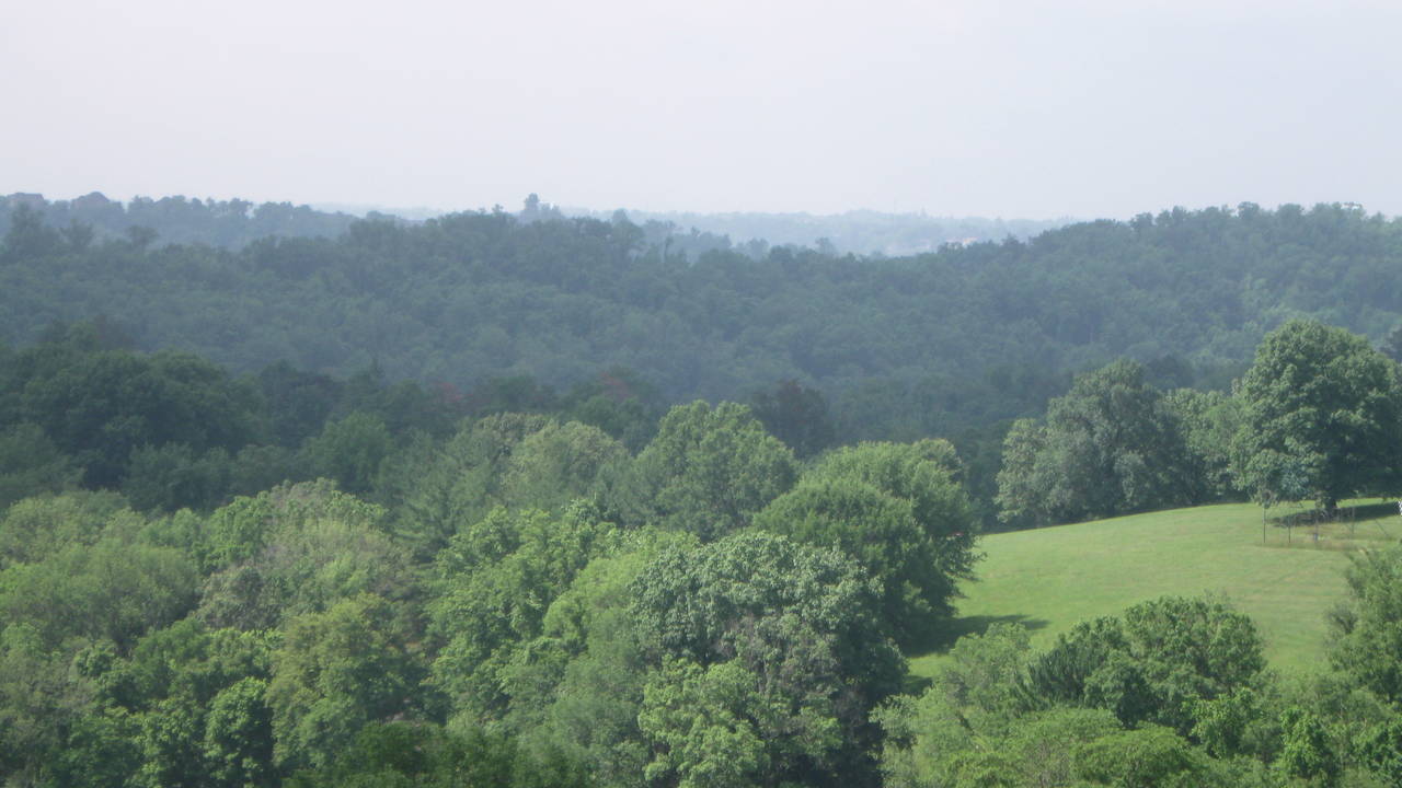 IMG_8199.JPG