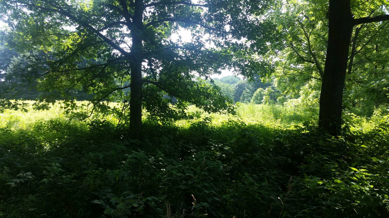 20170722_105922.jpg