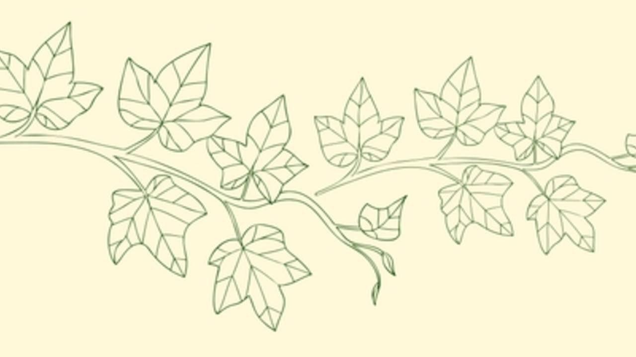 Poison_Ivy_Vine_Banner.jpg