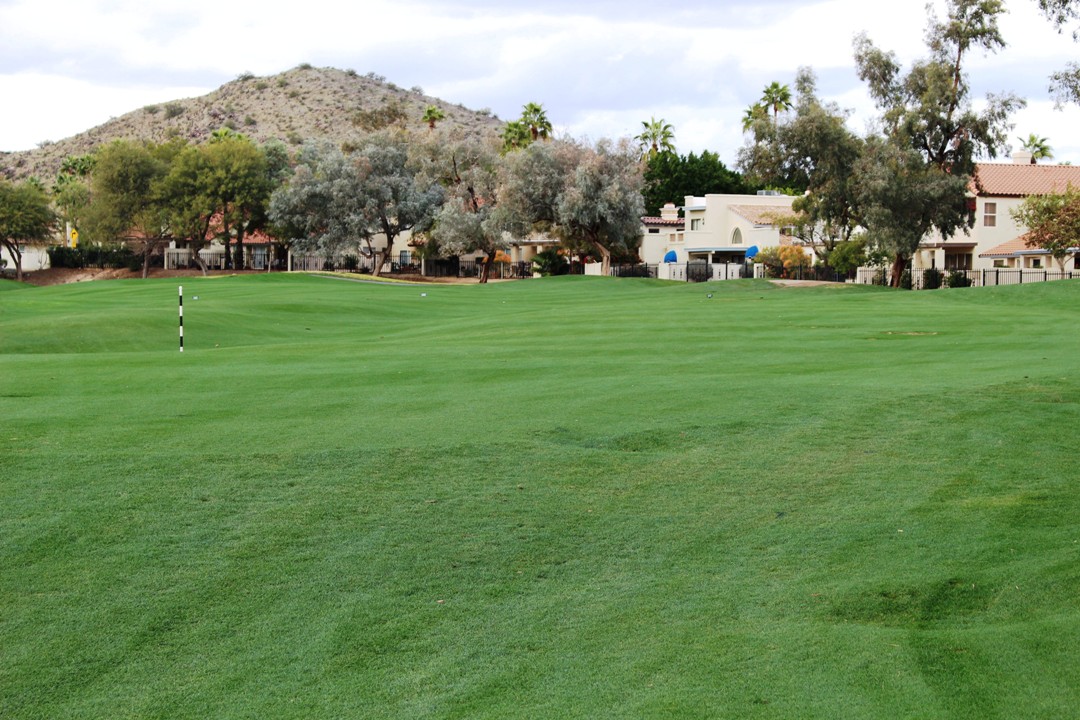 Pointe South Mountain Home in Phoenix on Golf Course!