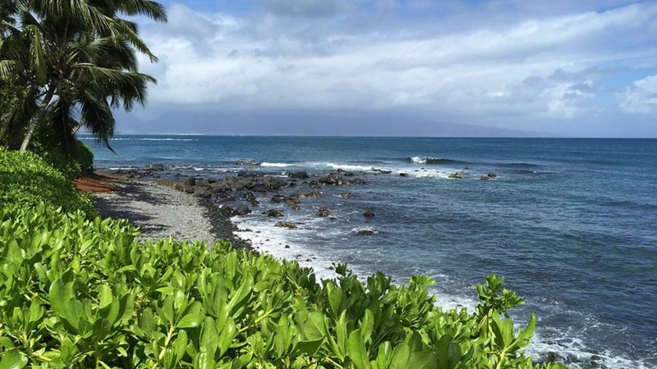 pebble_beach_Paia.jpg