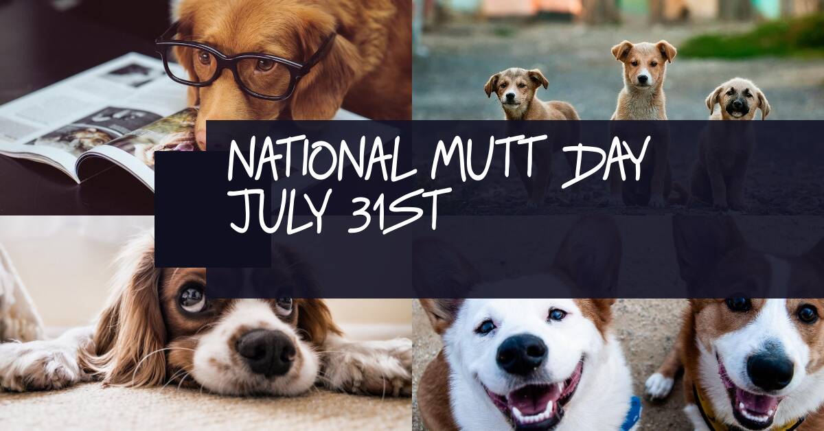 Happy National Mutt Day To All The Pawsome Mutts!