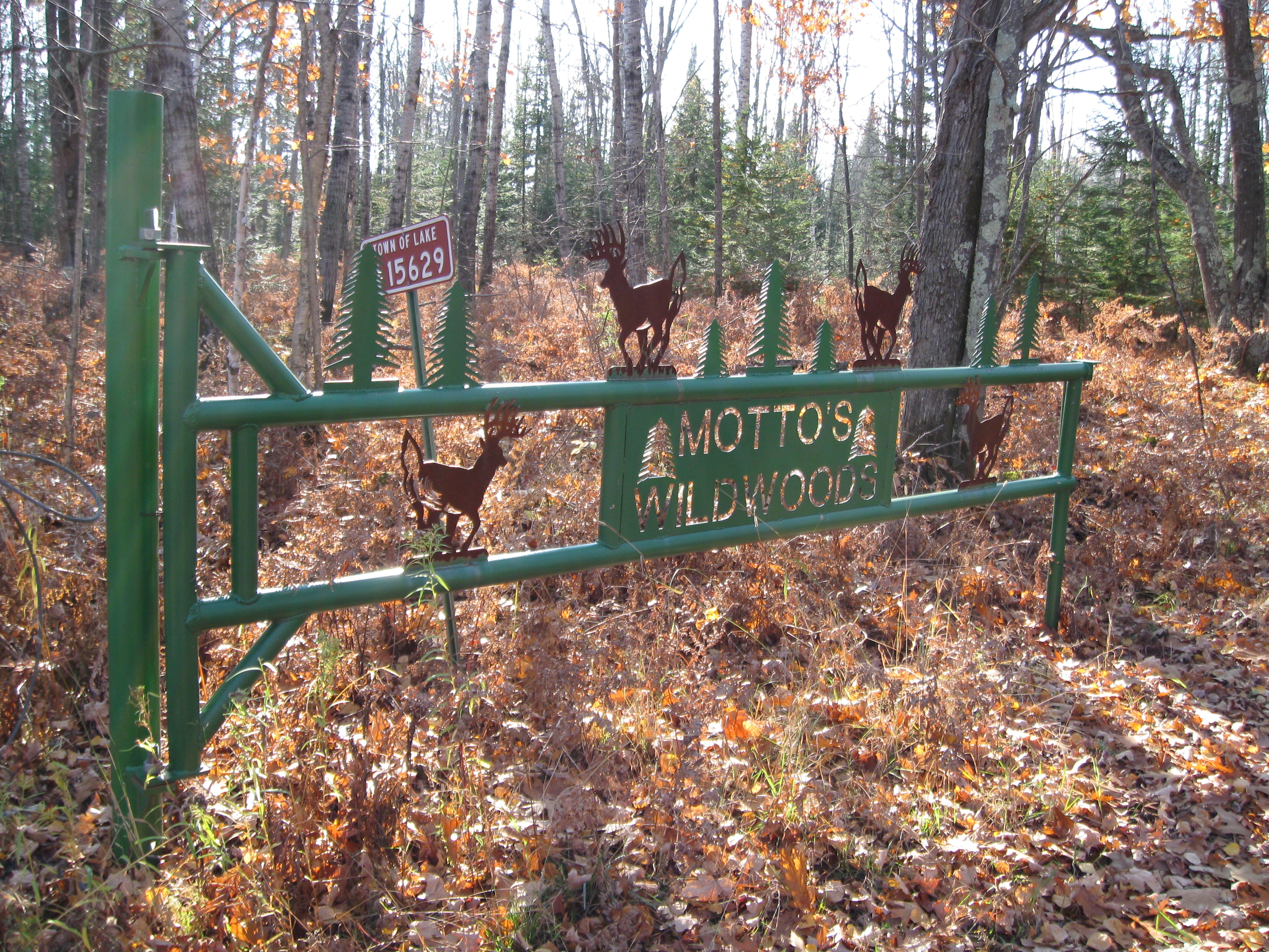 HUNTING & TIMBER LAND WANTED! RUSK COUNTY FOREST LAND