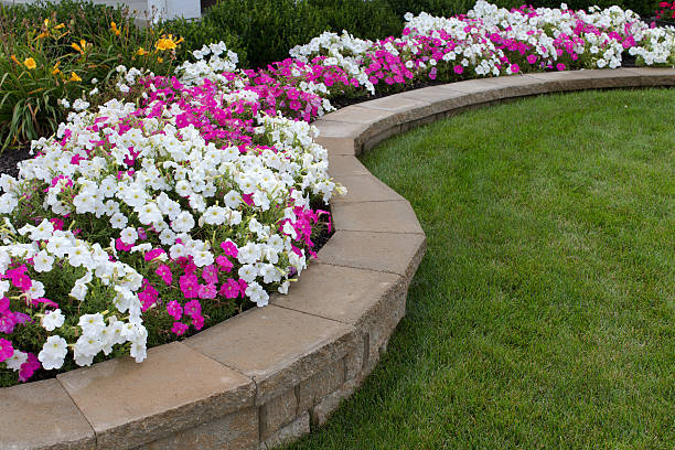 How_to_Create_Beautiful___Low-Maintenance_Flower_Beds.jpg