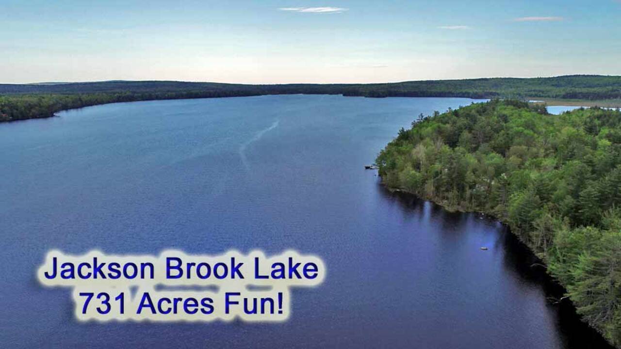 drone-backson-brook-lake-ae.jpg