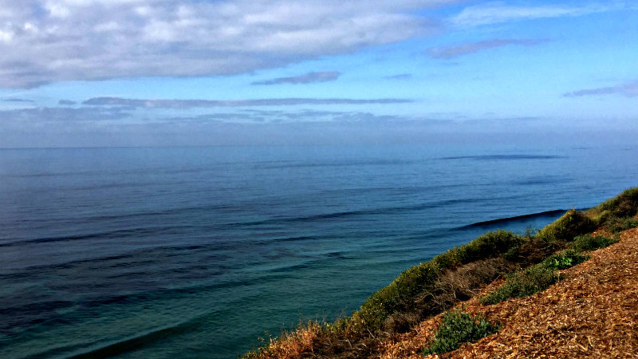 View_of_ocean_from_the_Meditation_Gardens_in_Encinitas.jpg