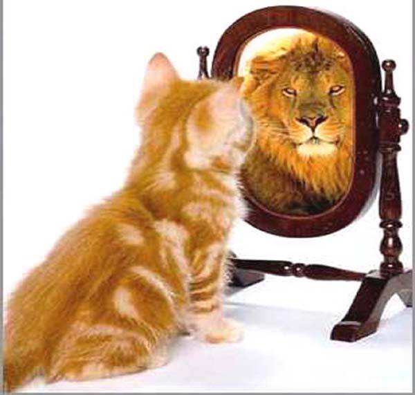 Five_Steps_To_Self-Esteem_and_Success.jpg