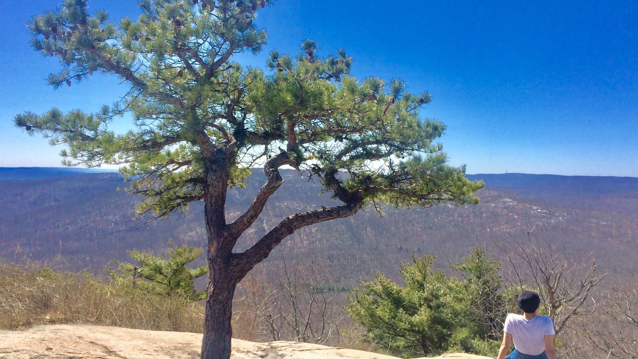 top_of_bear_mountain_photo_by_laura_cerrano_new_york_feng_shui_consultant_.jpg