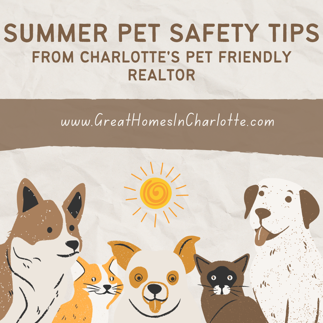 Summer_Pet_Safety_Tips_2023.png
