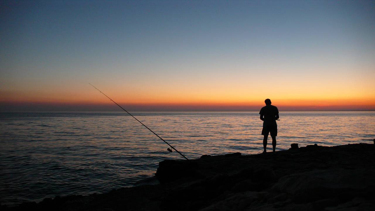 fishing-horizon-nature-65615.jpg