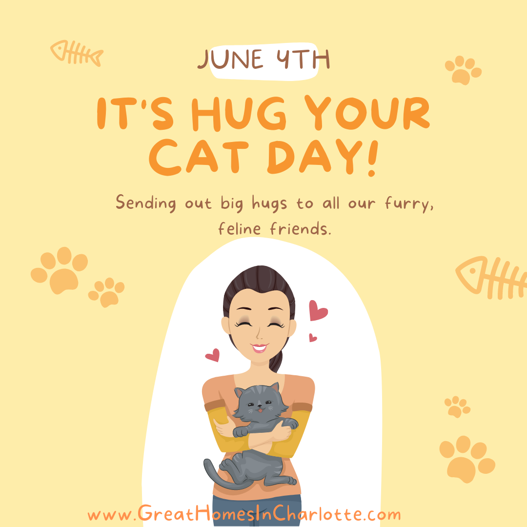 national_hug_your_cat_day_june_4.png